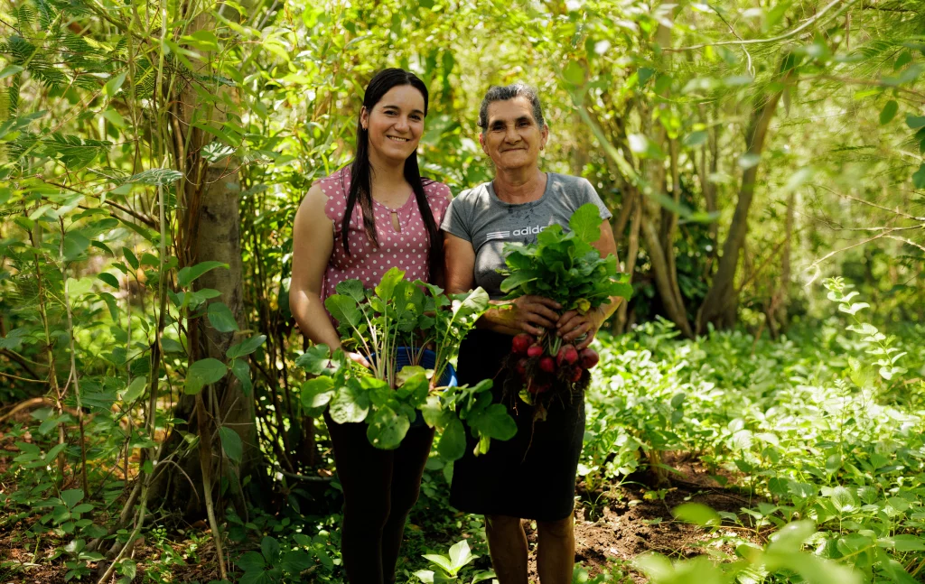 Erminda’s Garden: Where Dreams Take Root